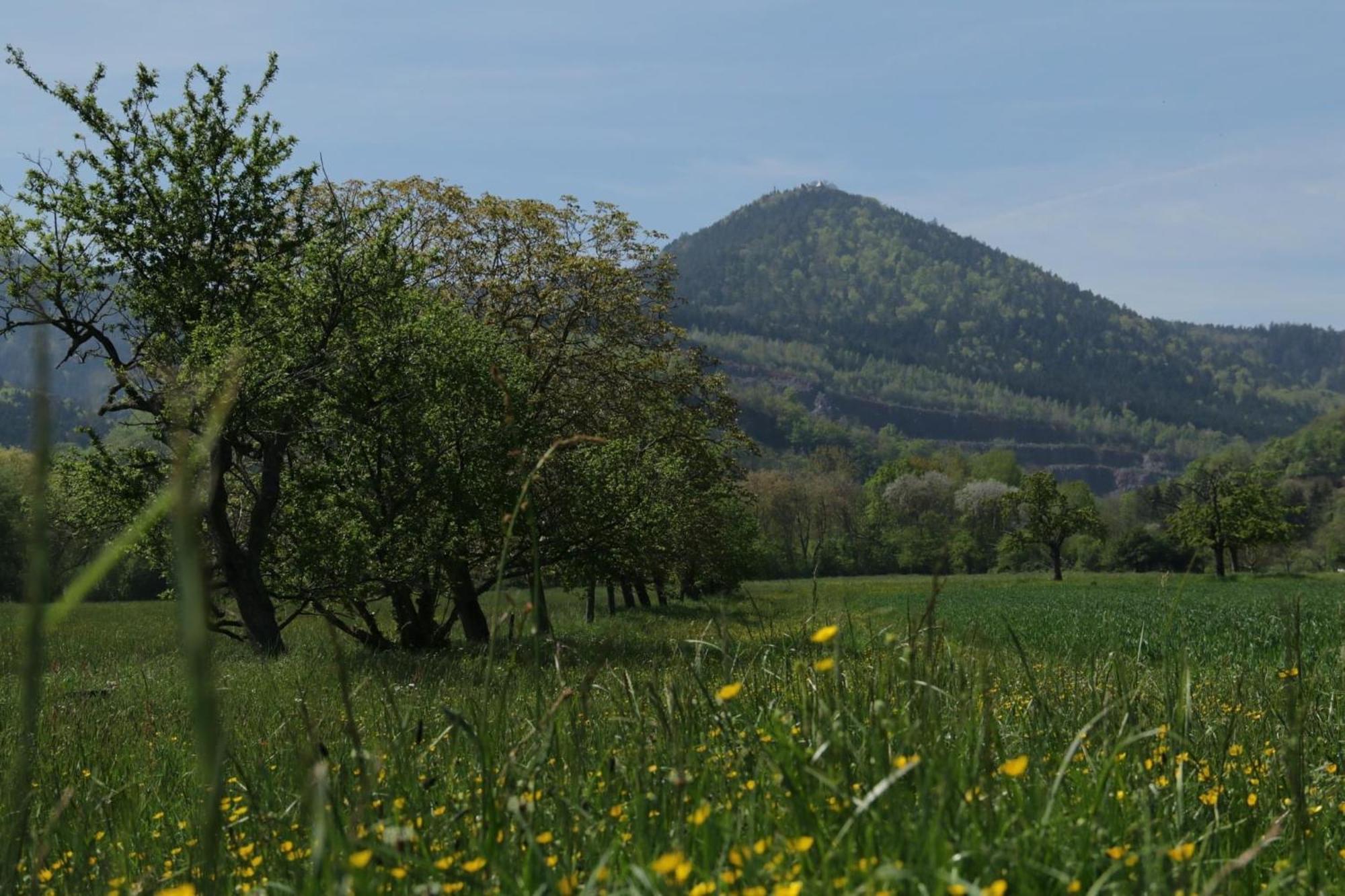 Gite Le 1602 Saint-Nabor Dış mekan fotoğraf
