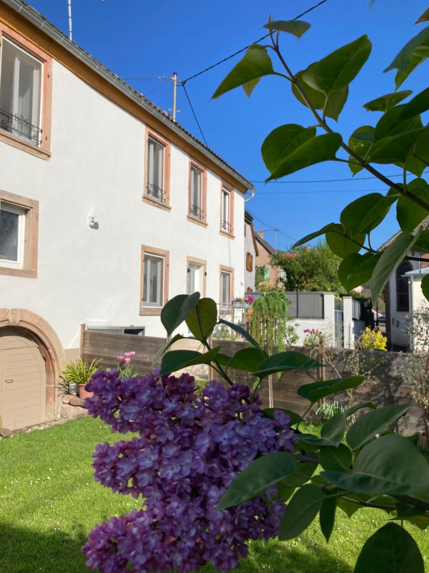 Gite Le 1602 Saint-Nabor Dış mekan fotoğraf